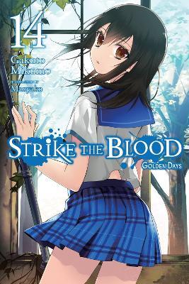 Strike the Blood, Vol. 14 (light novel) - Gakuto Mikumo - cover