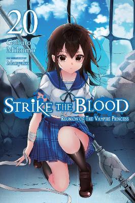 Strike the Blood, Vol. 20 (light novel) - Gakuto Mikumo,Manyako Manyako - cover