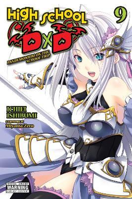 High School DxD, Vol. 9 (light novel) - Ichiei Ishibumi - cover