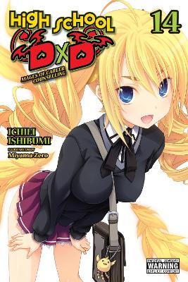 High School DxD, Vol. 14 (light novel) - Ichiei Ishibumi - cover