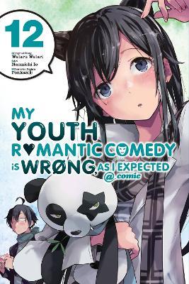 My Youth Romantic Comedy Is Wrong, As I Expected @ comic, Vol. 12 (manga) - Bianca Pistillo,Jennifer Ward,Naomichi Io - cover