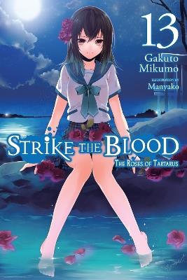 Strike the Blood, Vol. 13 (light novel) - Gakuto Mikumo - cover