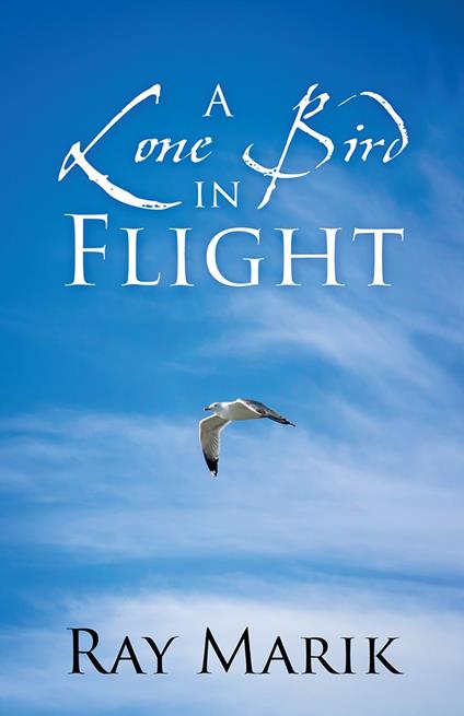 A Lone Bird in Flight