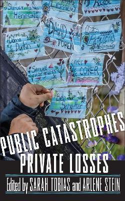 Public Catastrophes, Private Losses - cover