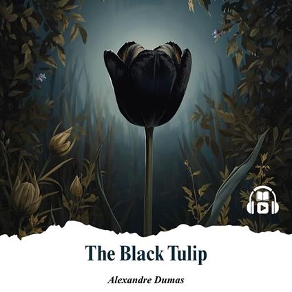 The Black Tulip