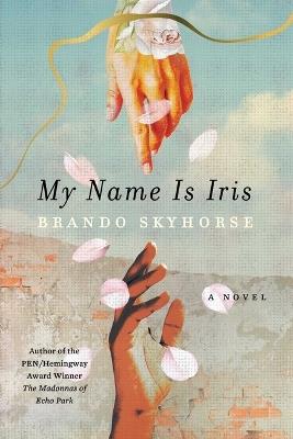 My Name Is Iris - Brando Skyhorse - cover