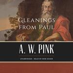 Gleanings from Paul