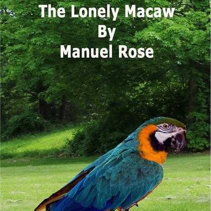The Lonely Macaw