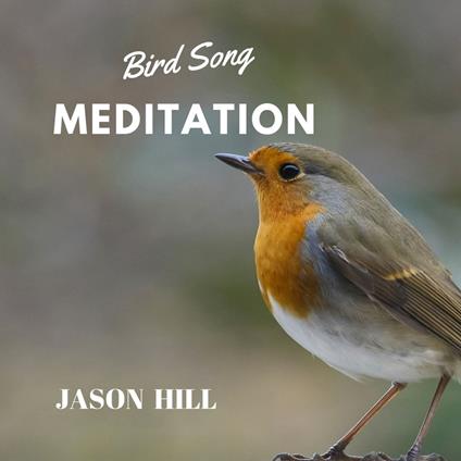 Bird Song Meditation