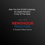 After The Fall Of Isis Caliphate, Its Capital Remains A City Of The Dead