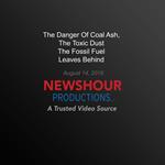 Danger Of Coal Ash, The Toxic Dust The Fossil Fuel Leaves Behind, The