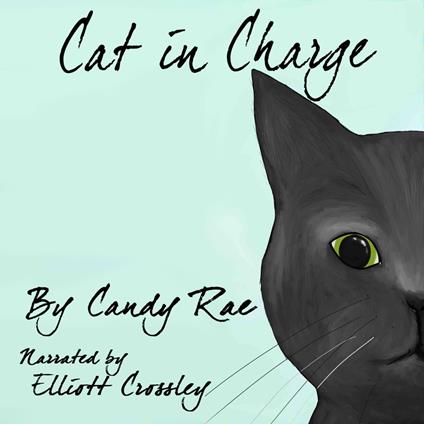 Cat in Charge