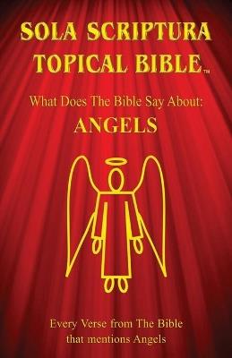 Sola Scriptura Topical Bible: Angels - Daniel John - cover