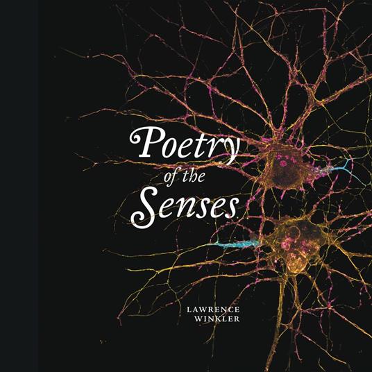 Poetry of the senses