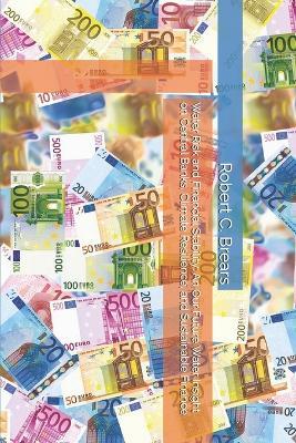 Water Risk and Financial Stability: An Our Future Water Insight on Central Banks, Climate Resilience, and Sustainable Finance - Robert C Brears - cover