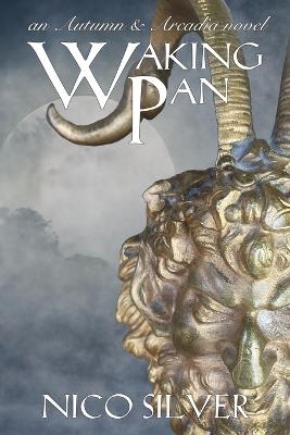Waking Pan - Nico Silver - cover