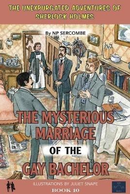 The Mysterious Marriage of the Gay Bachelor - NP Sercombe - cover