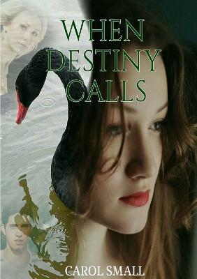 When Destiny Calls - Carol Small - cover