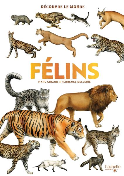 Découvre le monde - Félins - Marc GIRAUD,Florence DELLERIE - ebook
