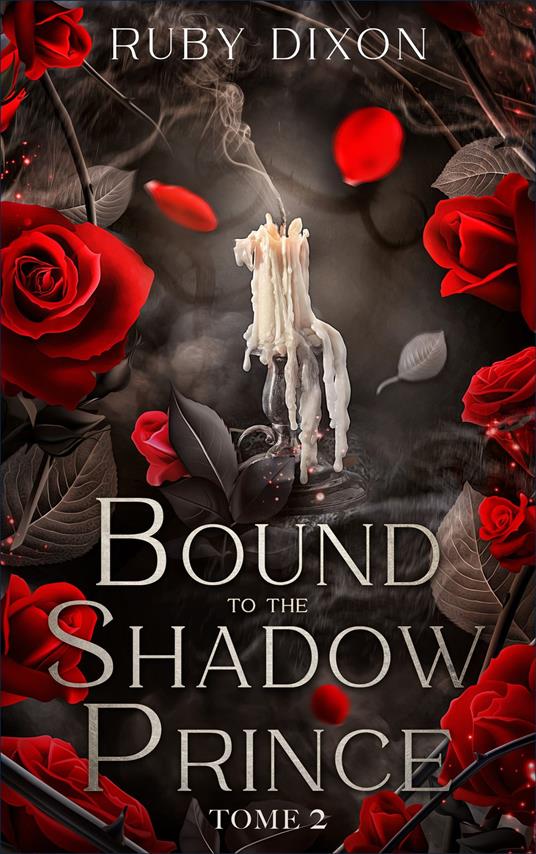 Bound to the shadow Prince - tome 2