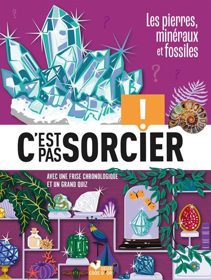 C'est pas sorcier - Fossiles, pierres et minéraux - Eric Mathivet - ebook