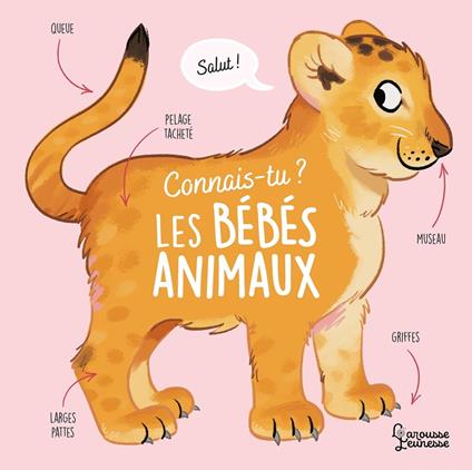 Connais-tu les bébés animaux ? - Olivier Le Gall - ebook
