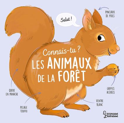 Connais-tu les animaux de la forêt ? - Agnès Besson,Axelle VANHOOF - ebook