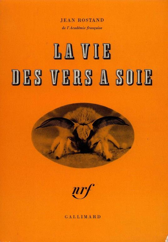 La vie des vers à soie
