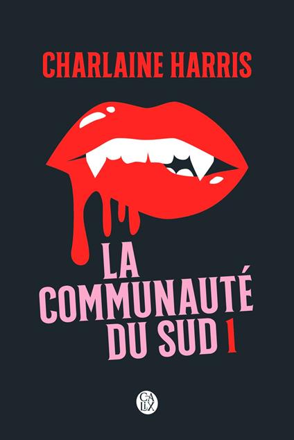 La communauté du Sud (Intégrale 1) - Tomes 1, 2 et 3 - Quand le danger rôde, Disparition à Dallas, Mortel corps à corps