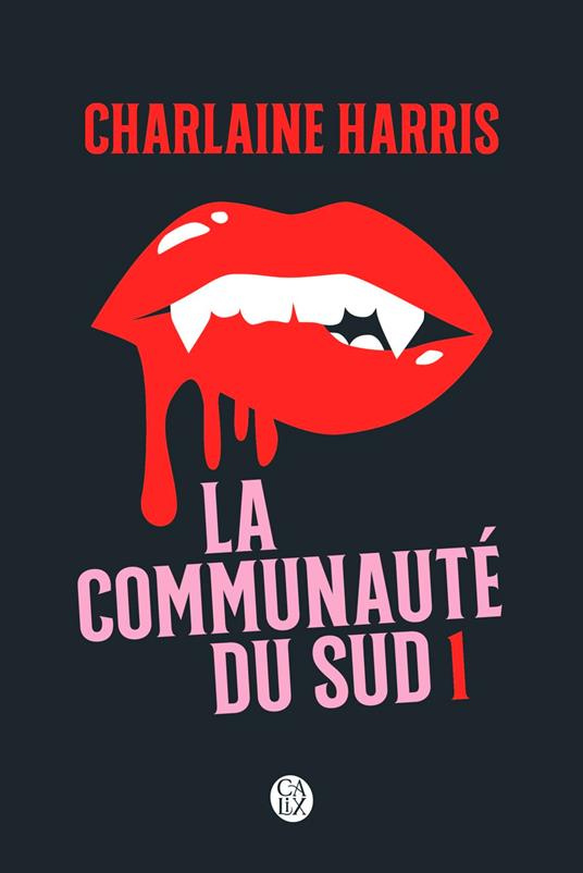 La communauté du Sud (Intégrale 1) - Tomes 1, 2 et 3 - Quand le danger rôde, Disparition à Dallas, Mortel corps à corps