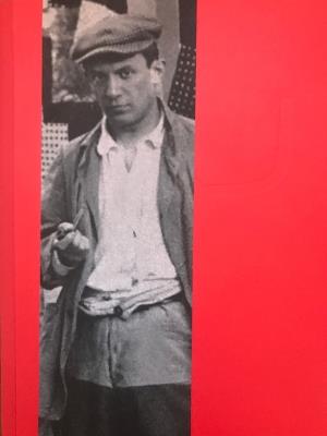 Musée Picasso Paris - cover