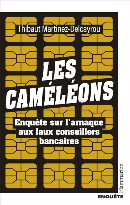 Les Caméléons. Enquête sur l'arnaque aux faux conseillers bancaires