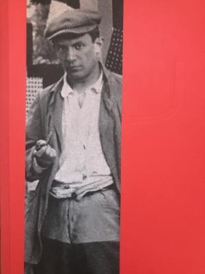 Musée Picasso Paris - cover