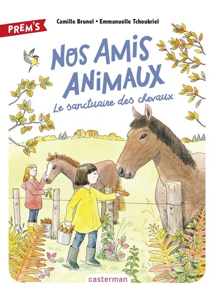 Nos amis animaux (Tome 3) - Le sanctuaire des chevaux - Camille Brunel,Emmanuelle Tchoukriel - ebook