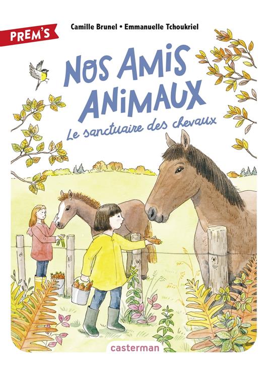 Nos amis animaux (Tome 3) - Le sanctuaire des chevaux - Camille Brunel,Emmanuelle Tchoukriel - ebook