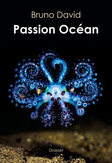 Passion océan