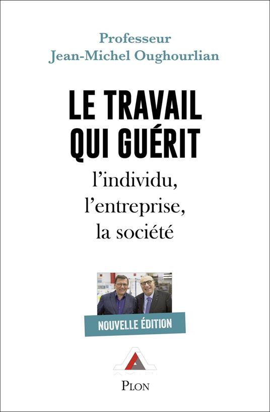 Le travail qui guérit - L'individu, l'entreprise,la société
