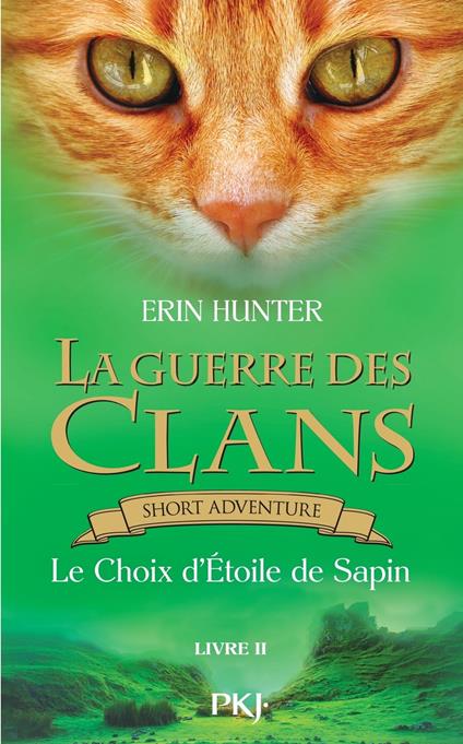 La guerre des Clans - Le Choix d'Etoile de Sapin - Erin Hunter,Aude CARLIER - ebook