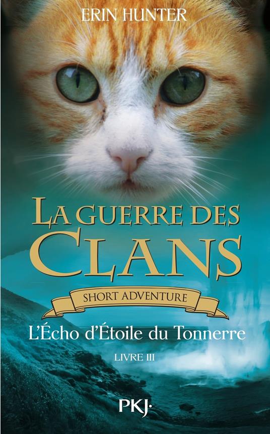 La guerre des clans - L'Écho d'Étoile du Tonnerre - Erin Hunter,Aude CARLIER - ebook
