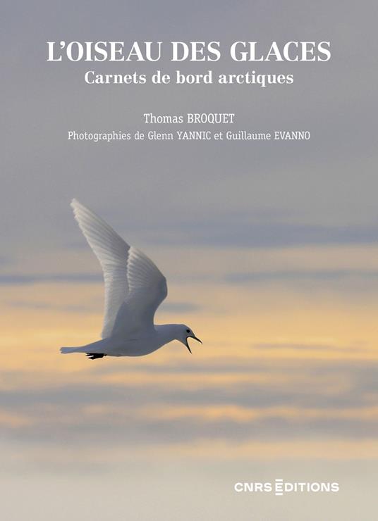L'oiseau des glaces - Carnets de bord arctiques