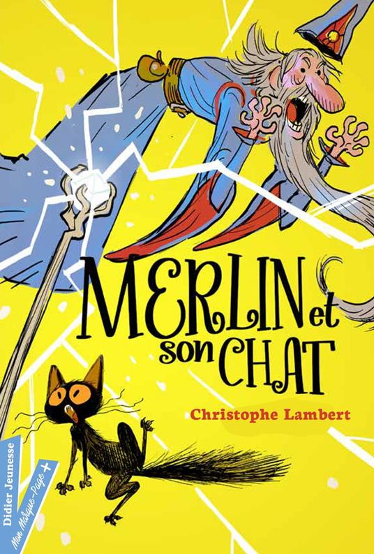 Merlin et son chat