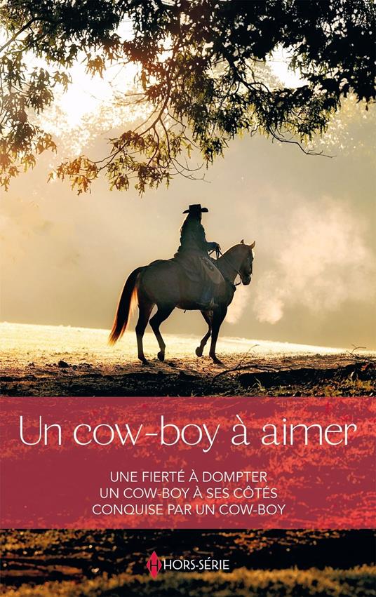 Un cow-boy à aimer