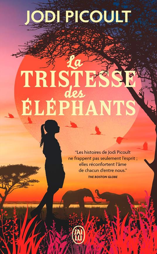 La tristesse des éléphants