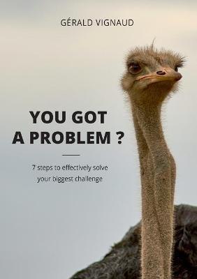 You got a problem ?: 7 steps to effectively solve your biggest challenge - Gérald Vignaud - cover