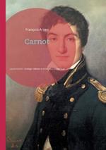 Carnot: Lazare Carnot, Stratège militaire et innovateur scientifique de la Révolution française
