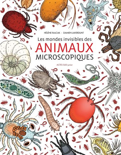 Les mondes invisibles des animaux microscopiques - Damien Laverdunt,Hélène Rajcak - ebook