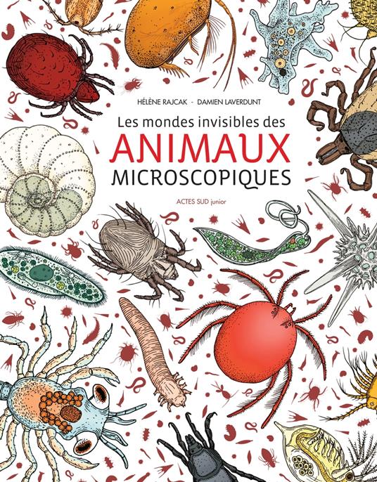 Les mondes invisibles des animaux microscopiques - Damien Laverdunt,Hélène Rajcak - ebook