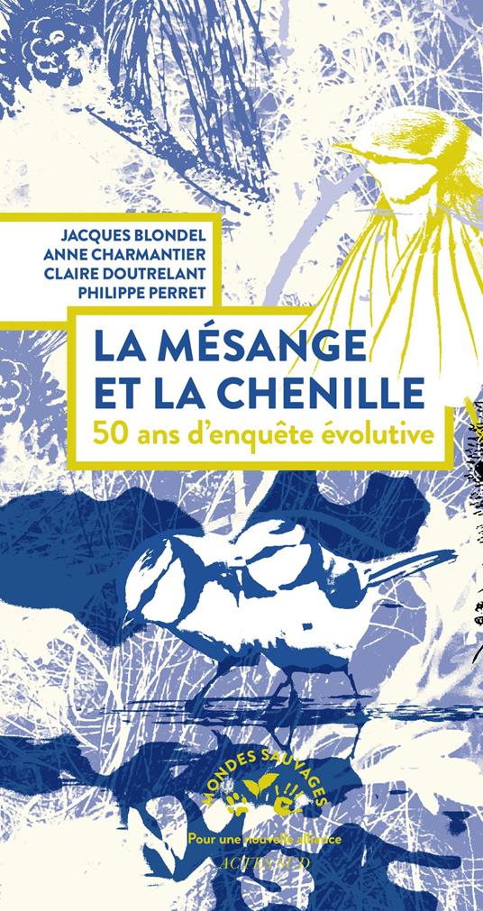 La mésange et la chenille, 50 ans d’enquête évolutive