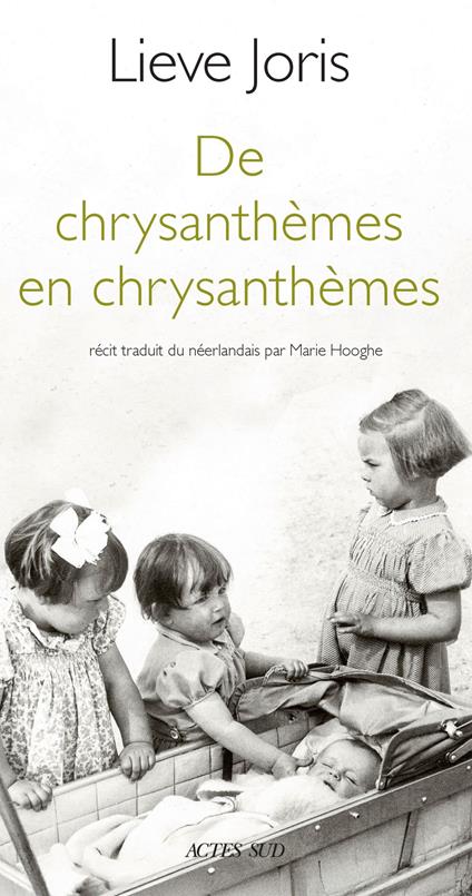 De chrysanthèmes en chrysanthèmes