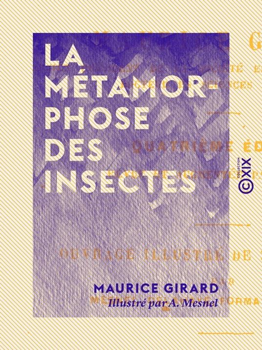 La Métamorphose des insectes